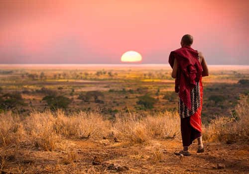 Shots for a safari holiday