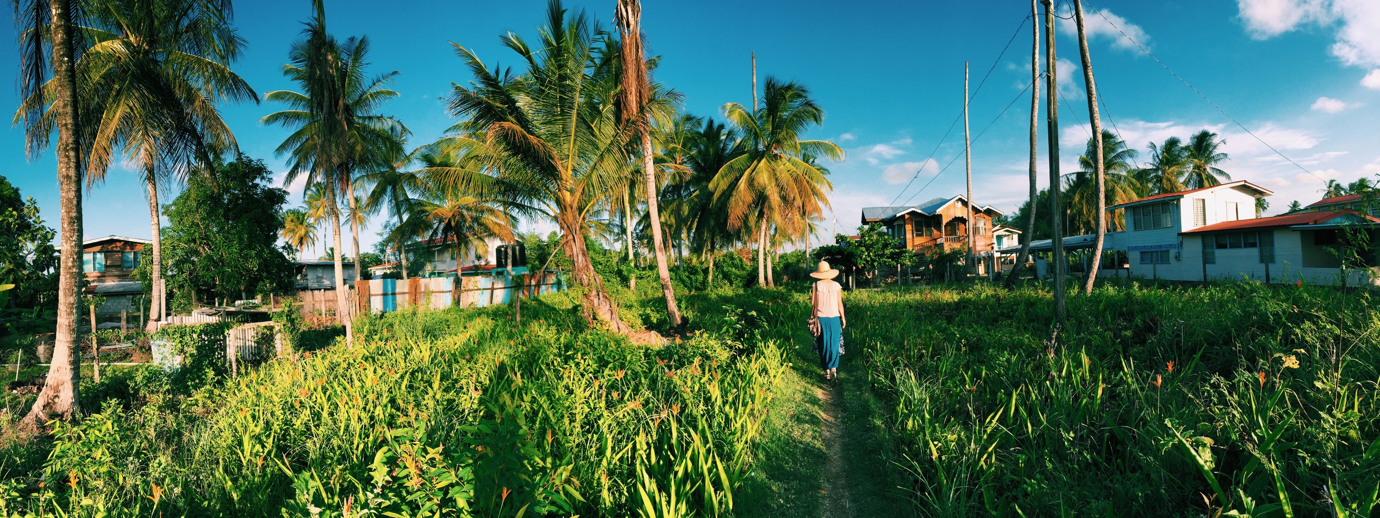 travel to guyana vaccinations