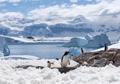 Injections for Antarctica