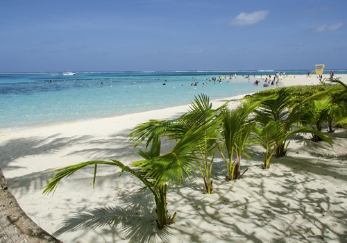 Injections for Northern Mariana Islands