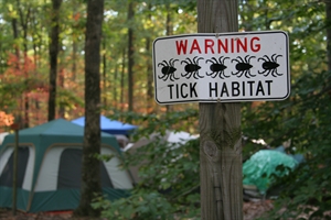 Am I at risk from tick bites in Canada?