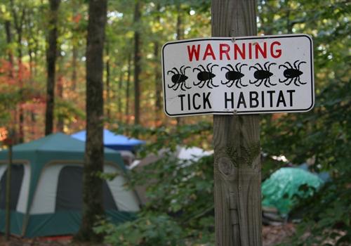 Am I at risk from tick bites in Canada